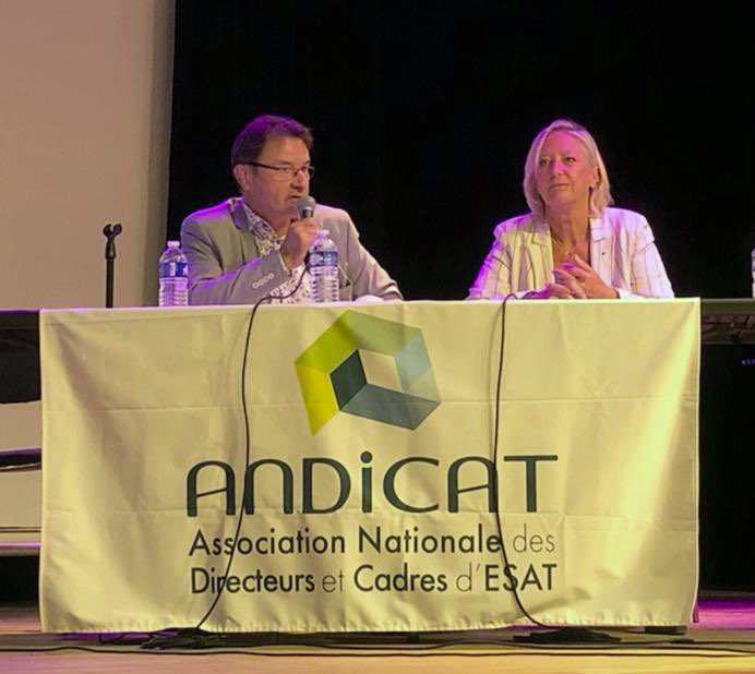 s_cluzel's tweet photo. Colloque @andicat_asso : présentation du plan #ESAT co construit avec le secteur et les personnes, qui pose le modèle attendu des ESAT pour les prochaines années.

➡️ Des mesures transformatrices pour garantir des parcours professionnels fluides et sécurisés. https://t.co/mT7Yuq8fAE