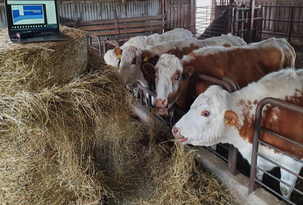 Toimiva nettiliittymä on ehdoton edellytys maaseudulla työskentelylle. Yhteyksiä tarvitaan mm. maitotiloilla, yrityksissä ja monipaikkaiseen työskentelyyn. Etelä-Savon ELY-keskus on mukana rahoittamassa maaseutujen laajakaistoja. ely-keskus.fi/uutiset-2021/-… #laajakaista #maaseut
