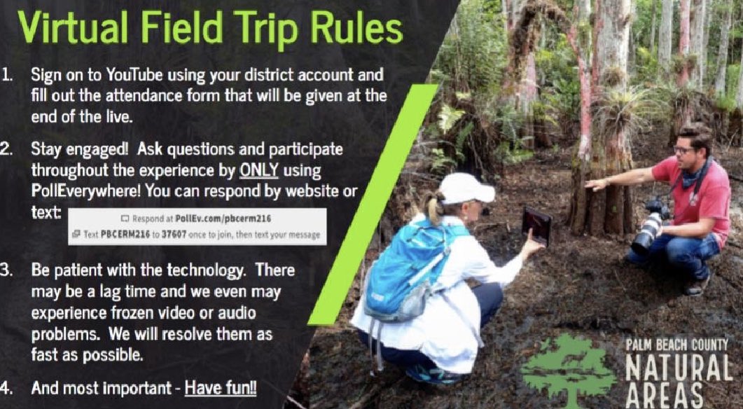 STEMagillPSMS's tweet photo. Hey @pbcsd, who’s ready for another #ExploreWithERM virtual field trip?! Well if you think you can handle what the “buzz” is about, join Wednesday, 9/29 from 4:30-5:30pm via YouTube &amp; you will have a unique opportunity to see PBC ERM’s Mosquito Control scientists! @PBCSDScience https://t.co/rUHi3fXPRa