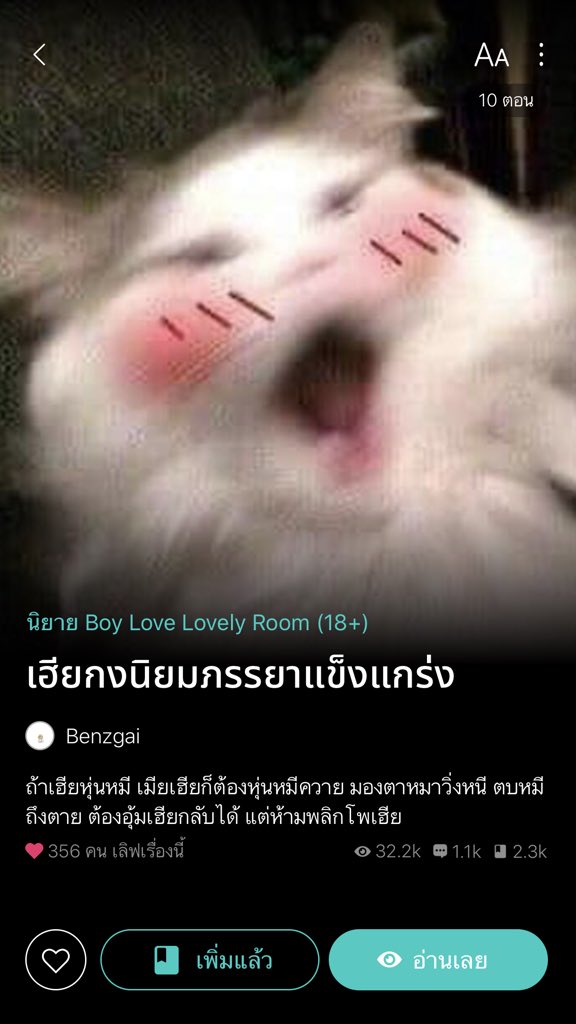 อ่านนิยายกับคุณส้ม🏳️🌈📚 tweet media