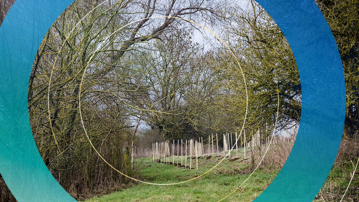 Great news for the #environmentjobs

50 million new trees scheme boosted by £15m of funding from government

news.sky.com/story/50-milli…

#EnvironmentalHealth #liverpool #trees