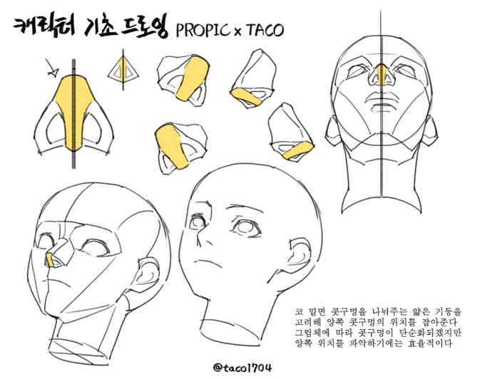 콧구멍이 단순화되더라도 코 밑면 중앙 기둥을 고려하면 코밑 면적이나 양쪽 콧구멍을 표현하기 수월하다 