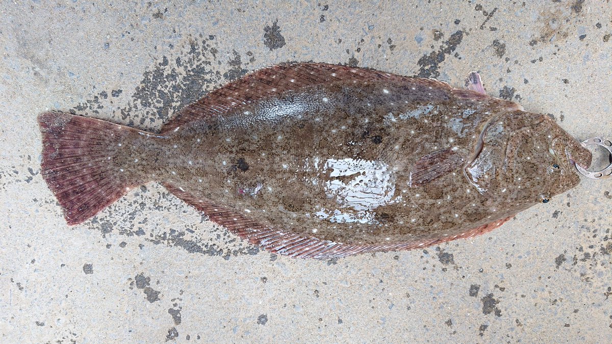 宮城サーフ Twitter Search