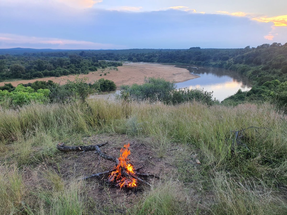 FootSafaris's tweet photo. Great to see a new area of the Greater Kruger open to walks. Remote Mthimkhulu has an open boundary with the park and Manukuza Wilderness Safaris has started trails🐘🐾 Read more 👉
https://t.co/ZqXhe4XAwi
#walkingsafaris #greaterkruger #trails https://t.co/HxofK22h1J