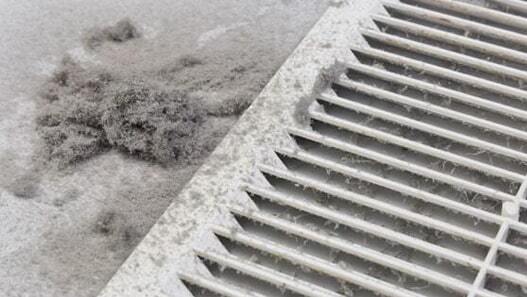 sesductcleaning's tweet photo. At @marksductm we are dedicated to providing the best service possible in the cleaning industry. Our professionals have the knowledge and advanced technology necessary to provide you with a thorough air #ductcleaning. Just call our expert now!!

Read More- https://t.co/4G8SG9qgra https://t.co/HkZ6HbJEF3