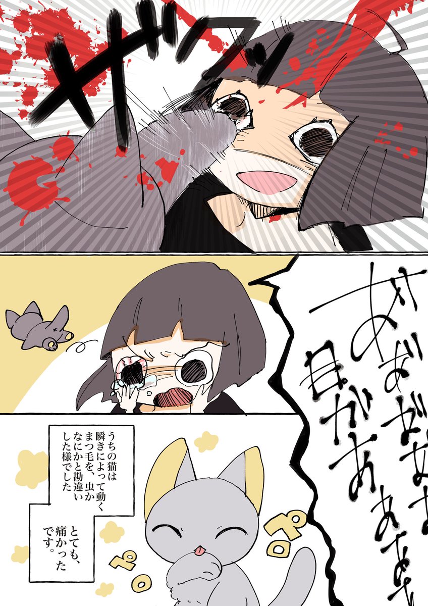 家の猫との実録漫画です。
タイトルは瞬きこわいです 
