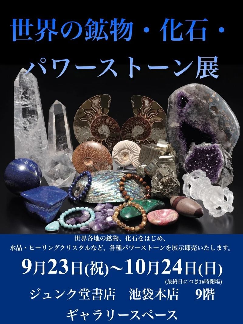 化石・鉱石セット