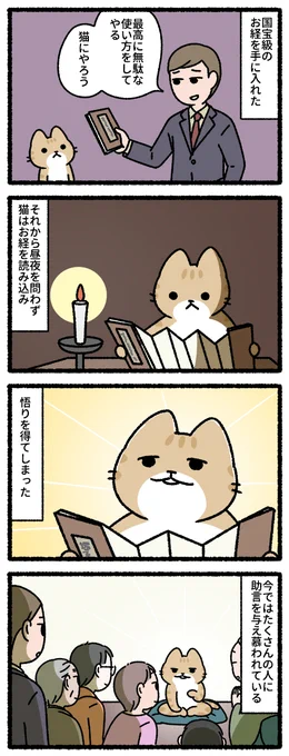 猫に経 