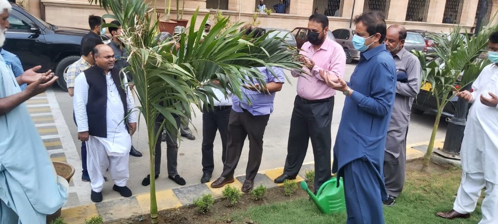 NaseemDarzada's tweet photo. Have started planting #palm, #cheeko, #moringa #Trees to make a green zone & urban forest along boundary wall of #KMC building These trees will help consume carbon around the area & address issues of #ClimateChange More & more trees around the city need to be planted #PlantToday https://t.co/0DRVcY6K8h