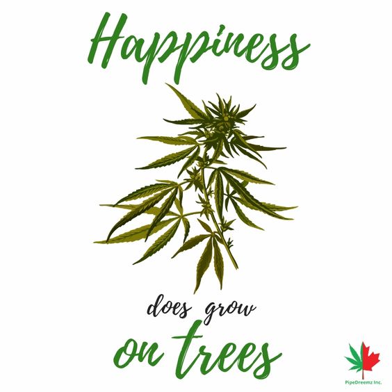 Monday morning inspo from <a href="/pinterest/">Pinterest</a> #happiness #nature #verde