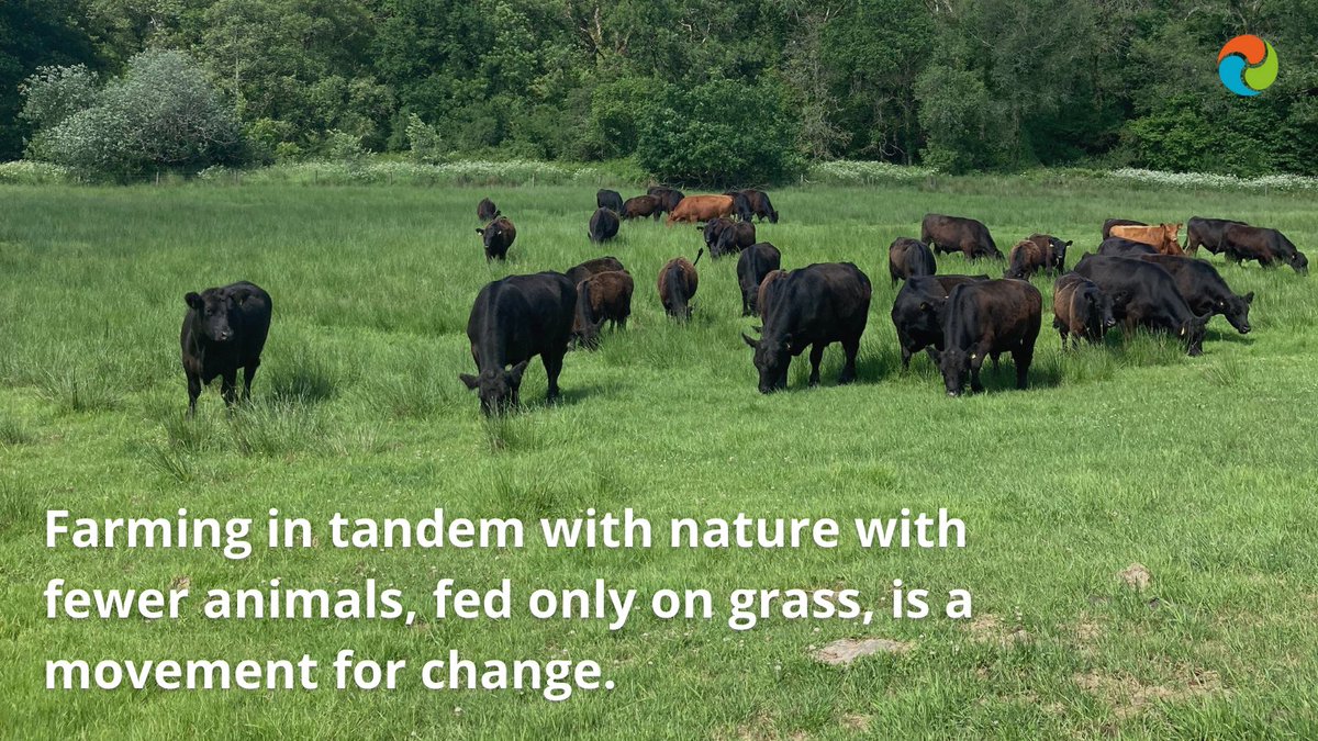 Eating_Better's tweet photo. #ProducingBetter is a movement for change, putting the focus on #LessAndBetter meat.
When farmers work in tandem with #nature there are benefits for soil health, wildlife & farm animals.
See it in action at @eversfieldorg: https://t.co/CXzfYXSRP2
#Organic #PastureFed https://t.co/BtclaP8PIA
