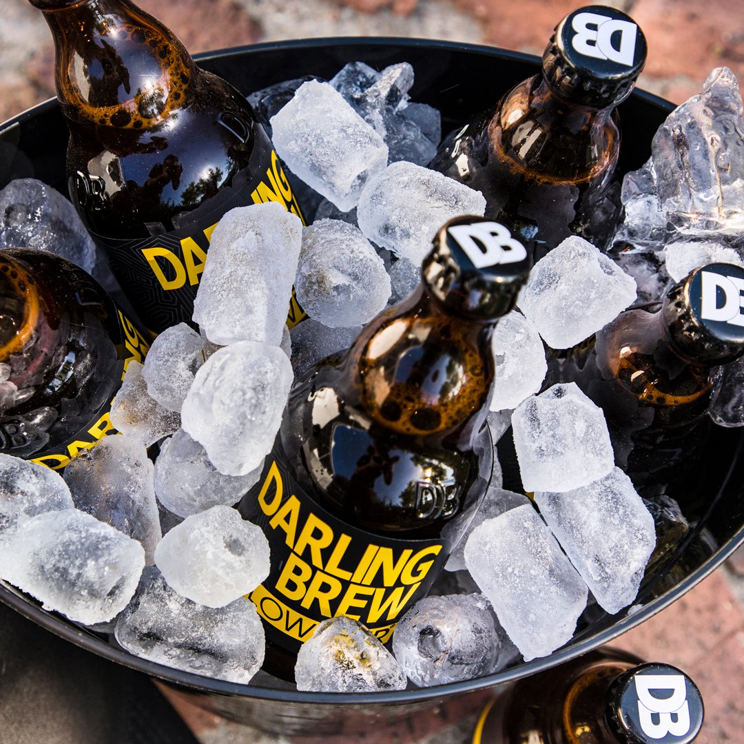 DarlingBrew's tweet photo. Happy Monday DB crew! If you're feeling that post-long weekend slump, we suggest you make your way to the #DBshop. Today is the last day to get in on the #DBfreebies action for September & bag yourself a trucker cap and/or ice bucket (depending on your spend) π»π§’π§ https://t.co/RA5X8iuVe7