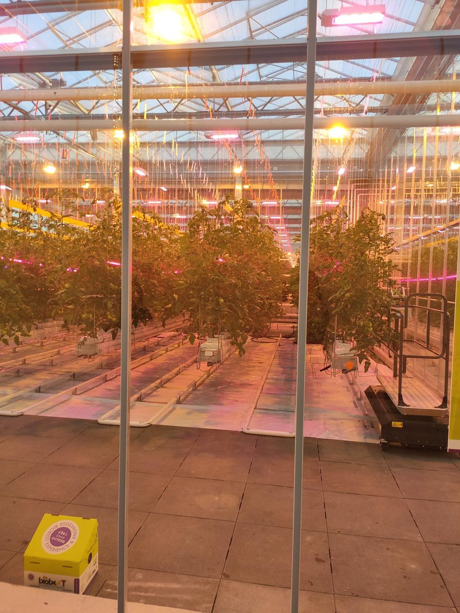 ImcaSampers's tweet image. Wauw, wat een dakserre!!! Proficiat aan de collega&apos;s van @InagroBeitem @InAgrotopia van #vegitec. Op naar een vruchtbare samenwerking.
@FbwUGent (met collega Jan Pieters)