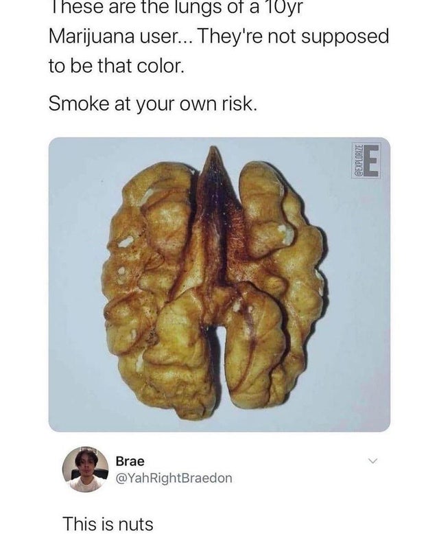 Memeication's tweet image. Wow! This is nuts
#meme #memes #funny