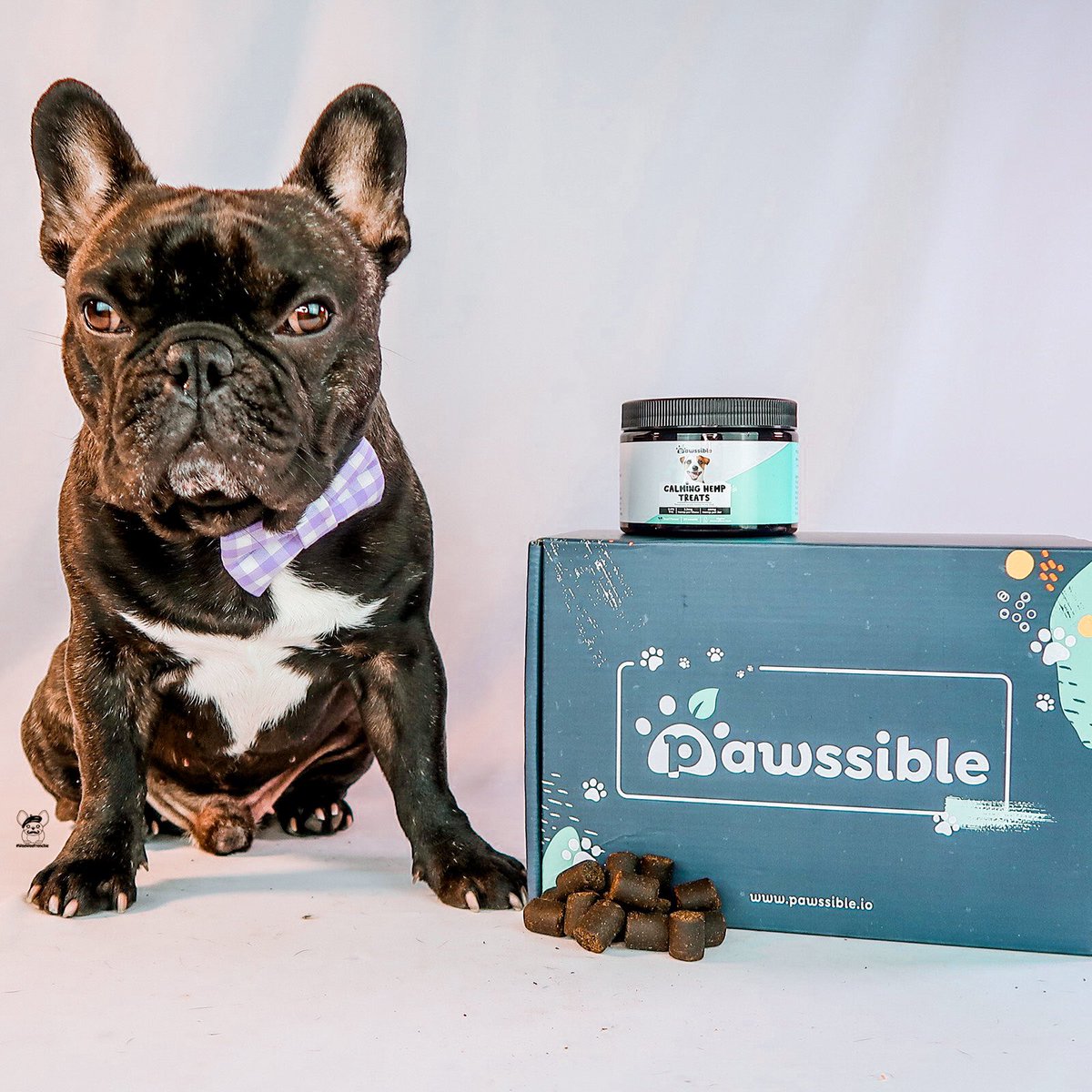weeweefrenchie's tweet photo. Does your mom call you crazy? Now there’s help without calling 911! 📞 
.
@pawssible_official has the best calming hemp treats. There’s 2mg CBD in each chew. No THC means I can stay calm without getting the munchies.
.
Use code WEE20 to save 20% on your order + free shipping. ❤️ https://t.co/xYVS5CT7qL