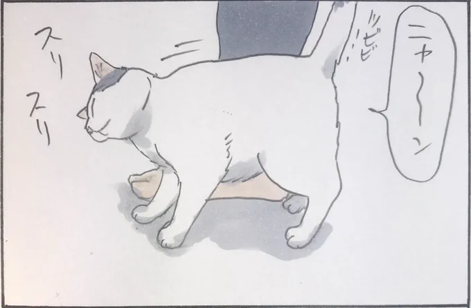 『足もとだけよ』 