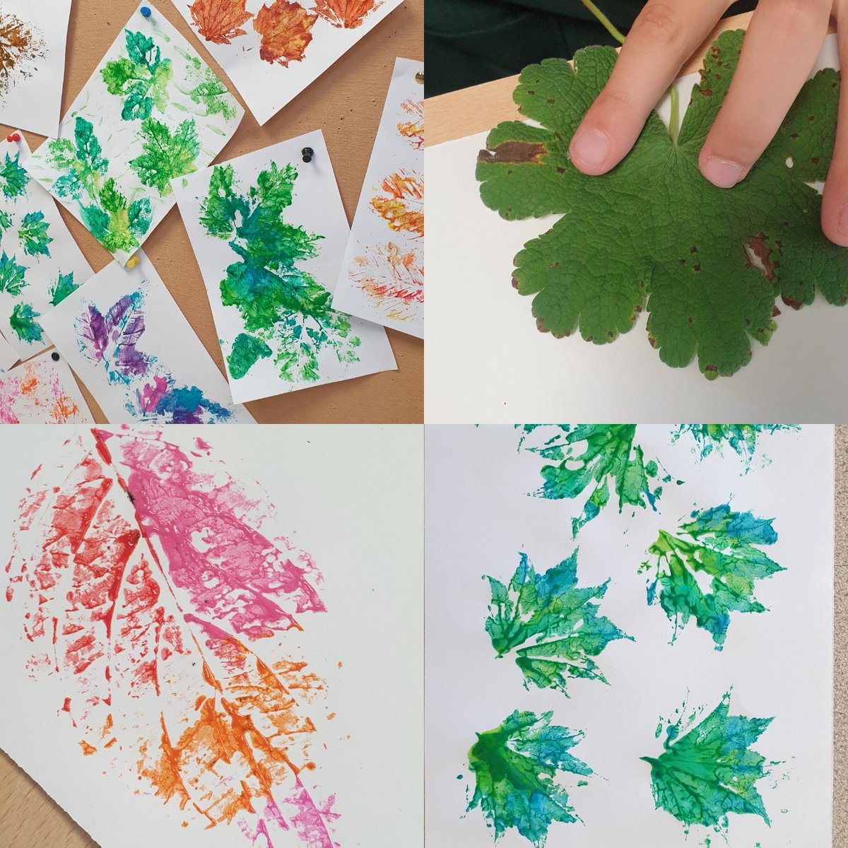 AlexEmery87's tweet photo. Strolling into the Autumn with a bit of leaf printing today @BruntsAcademy https://t.co/yzLrKaPOSR