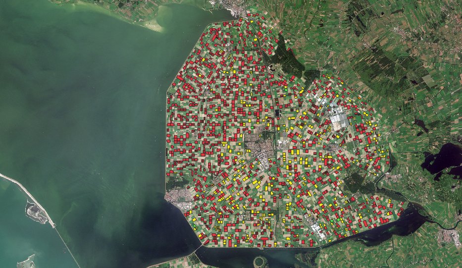 GRAIN_org's tweet photo. European seed companies will soon use satellites to check if farmers are illegally saving and replanting their #PVP-protected seeds https://t.co/bXBWYcRIpG #UPOV91 #seedsaving #seedcriminalisation https://t.co/NPfhBQaLDv