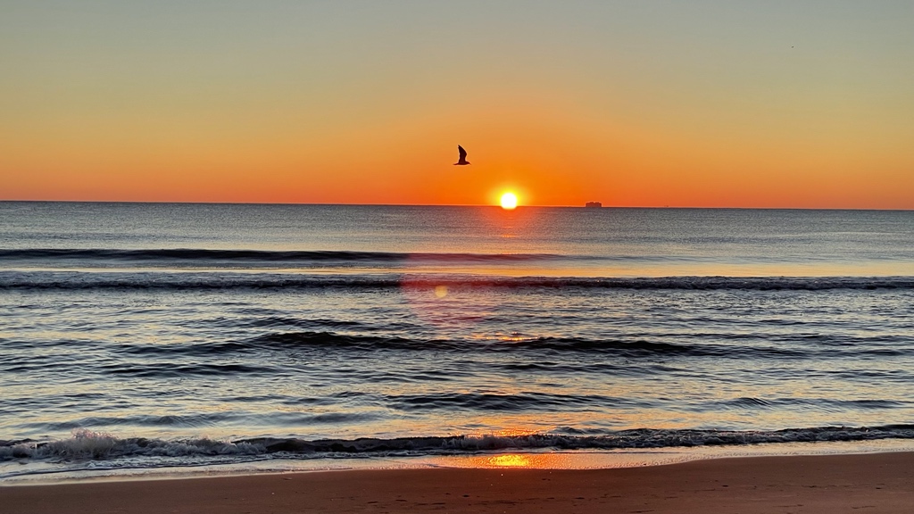 lazypower's tweet photo. The best things in life are free; watching the sunrise with bae https://t.co/R5u7YdKUmJ