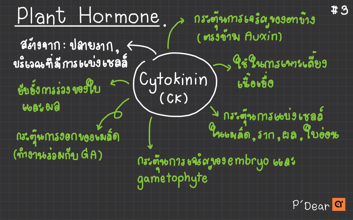 เชียร์เดียร์ tweet media