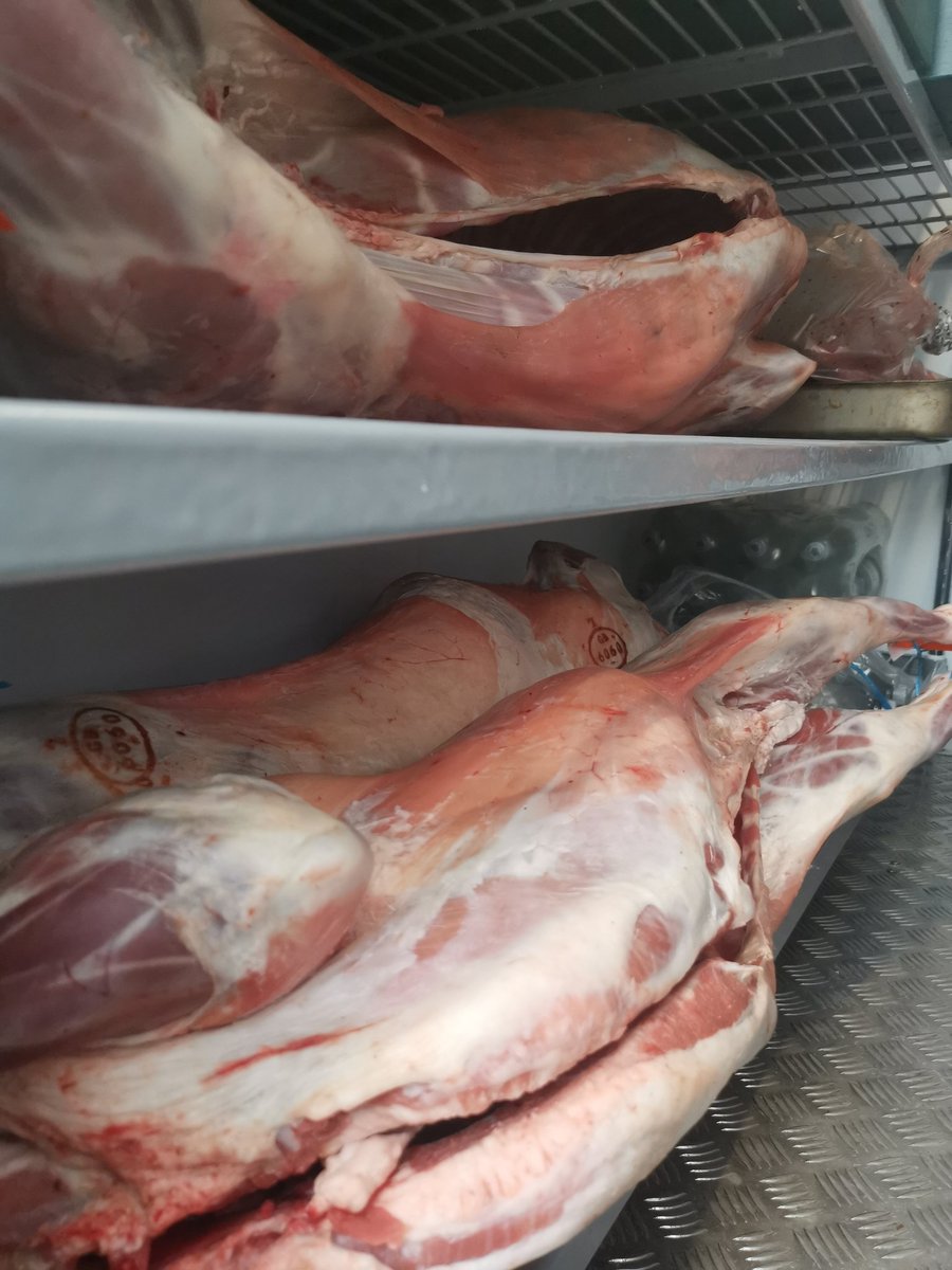 MarkWrenmark's tweet photo. Hall @hallgroveschool is truly a unique place to be. These lambs were raised 100 meters from the kitchen in the lower fields. It's fantastic to see the quality.  They will be butchered locally ready for sale this weekend fir grandparents day. @Thomas_Franks_ @alisonryan2018 https://t.co/lbRrHFD9go