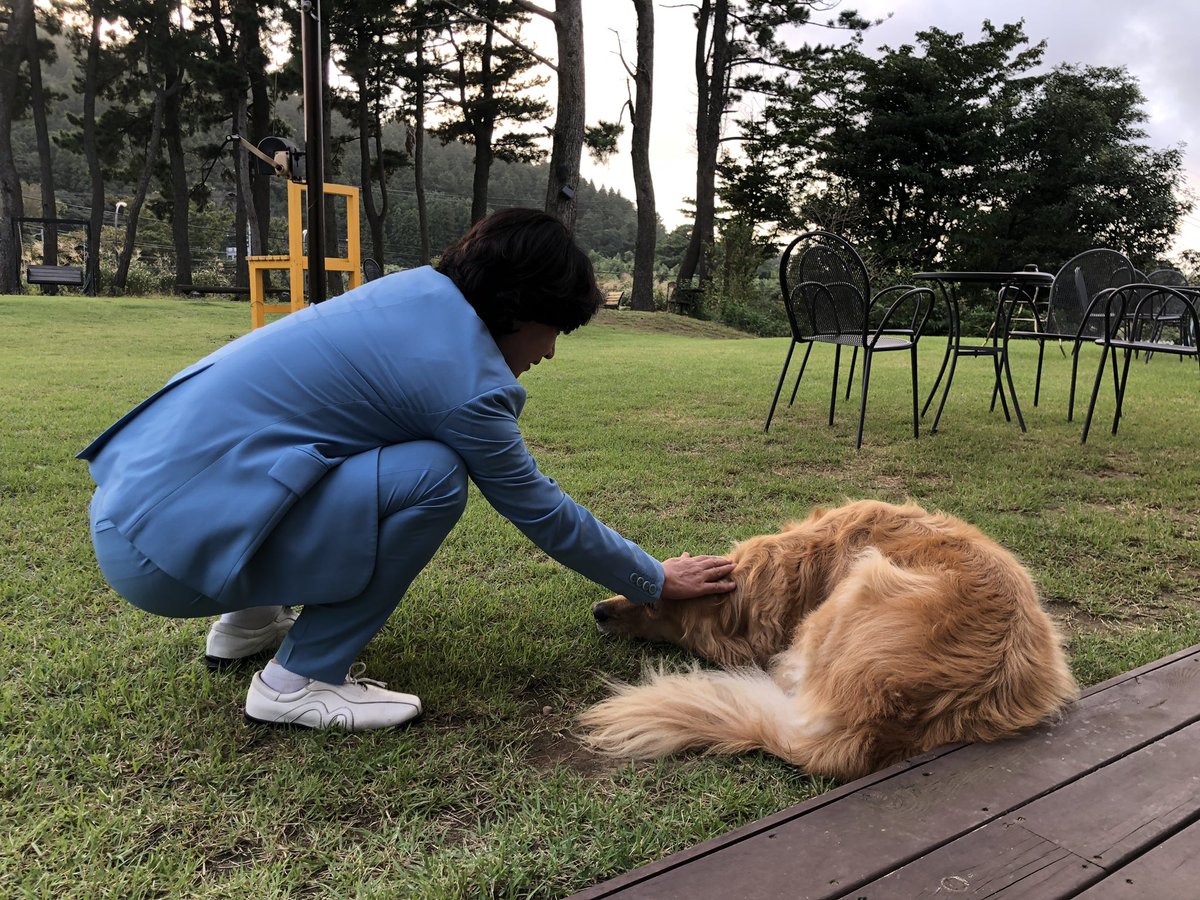 [개식용, 이제 그만 해야 합니다]