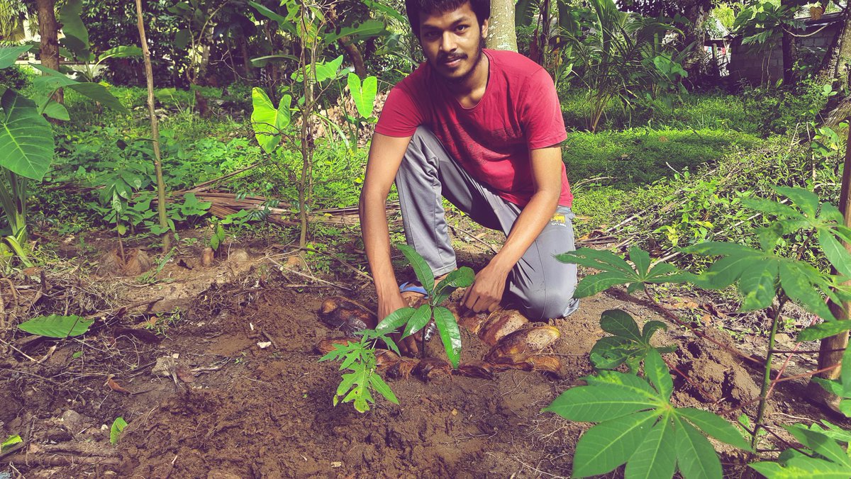 Harsha_wije1998's tweet photo. “A tree is our most intimate contact with nature.”
― George Nakashima
#Act4SDGs #TurnItAround #Road2Rights #Powerof10 #LeosofSrilanka #leodistrict306A1 #leouocfos
#Act4SDGs #TurnItAround #ActionToImpact #Road2Rights #TreeForLife #UOCFOS
@SDGaction
@road2rights @SriLanka2030 https://t.co/ihc056HMRz