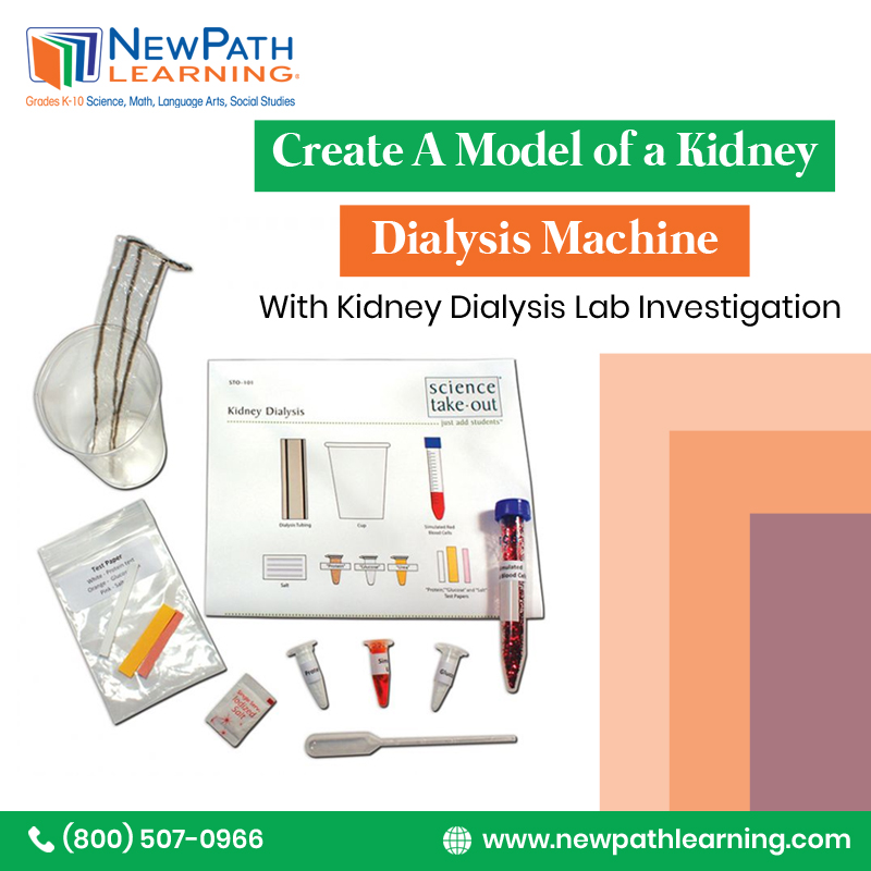 NewPathLearning's tweet image. With the hands-on Kidney Dialysis Lab Investigation students create a mini-model of a dialysis machine to investigate how it removes wastes from the blood of a patient with kidney failure. bit.ly/39ICGRQ
#NewPathLearning #LabInvestigation #KidneyDialysis #DialysisModel