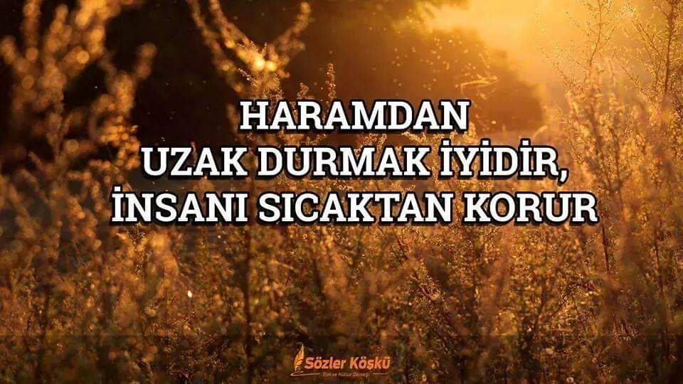 Sedat CÖMERTOĞLU (@scomertoglu) on Twitter photo 