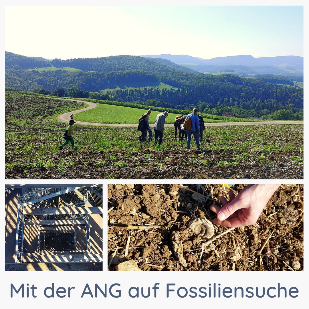 ang1811_science's tweet photo. Impressionen unserer Exkursion ins Fricktal: Fossiliensuche und tolle Ausblicke auf dem Cheisacherturm.

#aargau #fossils #fossilien #fricktal #exkursion #naturwissenschaft https://t.co/7xCBTbK1NO