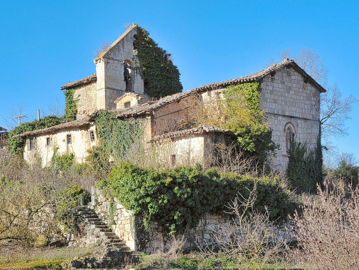 RomanicoEspana's tweet photo. Doloroso aspecto de la iglesia de Nuestra Señora de la Asunción de Arana (Condado de Treviño), cada vez más deteriorada y literalmente engullida por la vegetación circundante #FelizLunes #FelizSemana https://t.co/pXkwg0slgu