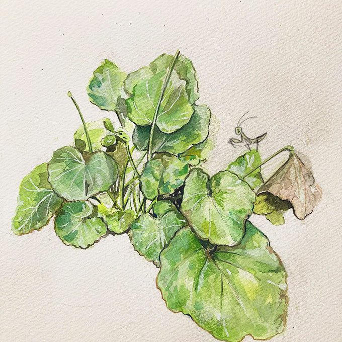 🌱 