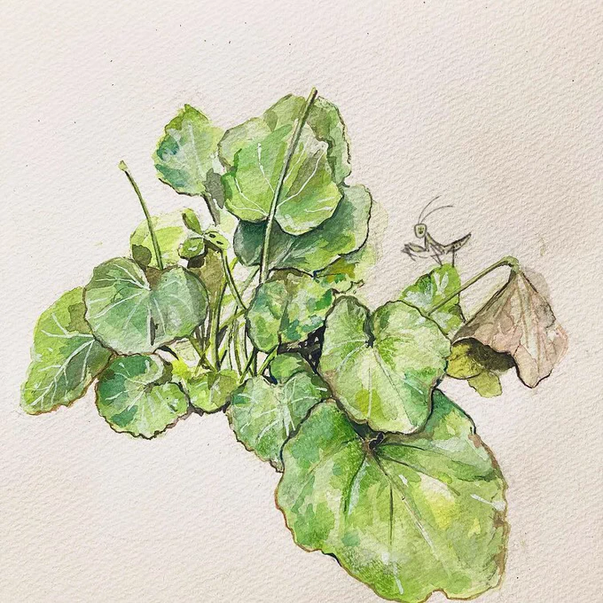🌱 