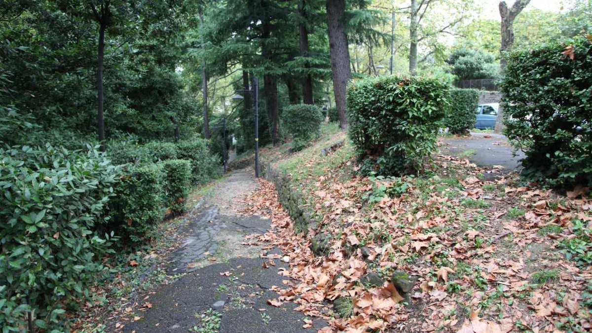 Sono stati avviati oggi, lunedì 27 settembre, i lavori che consentiranno la manutenzione straordinaria di parte dei vialetti dell’area verde di Passeggio Sant’Andrea 👉 bit.ly/3CMgQsY