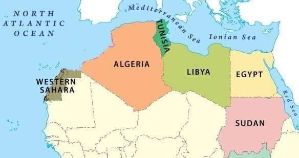 سيدي بومدين tweet media
