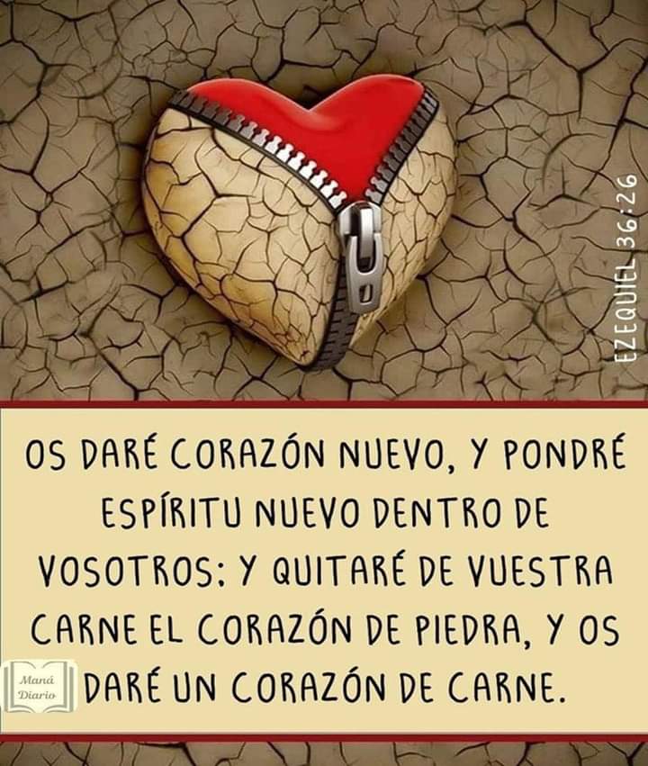b5thais's tweet photo. Foto de iris de Bandres https://t.co/tWeiSwe7Ci