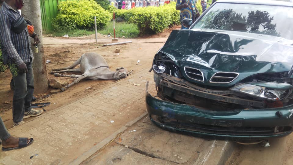 fabrice_sassou's tweet photo. Grave accident ce matin à #Adidogome
Vigilance #TgTwittos... https://t.co/NJ4CR5ENJd