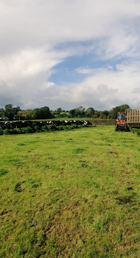 Kyle Cunningham tweet media