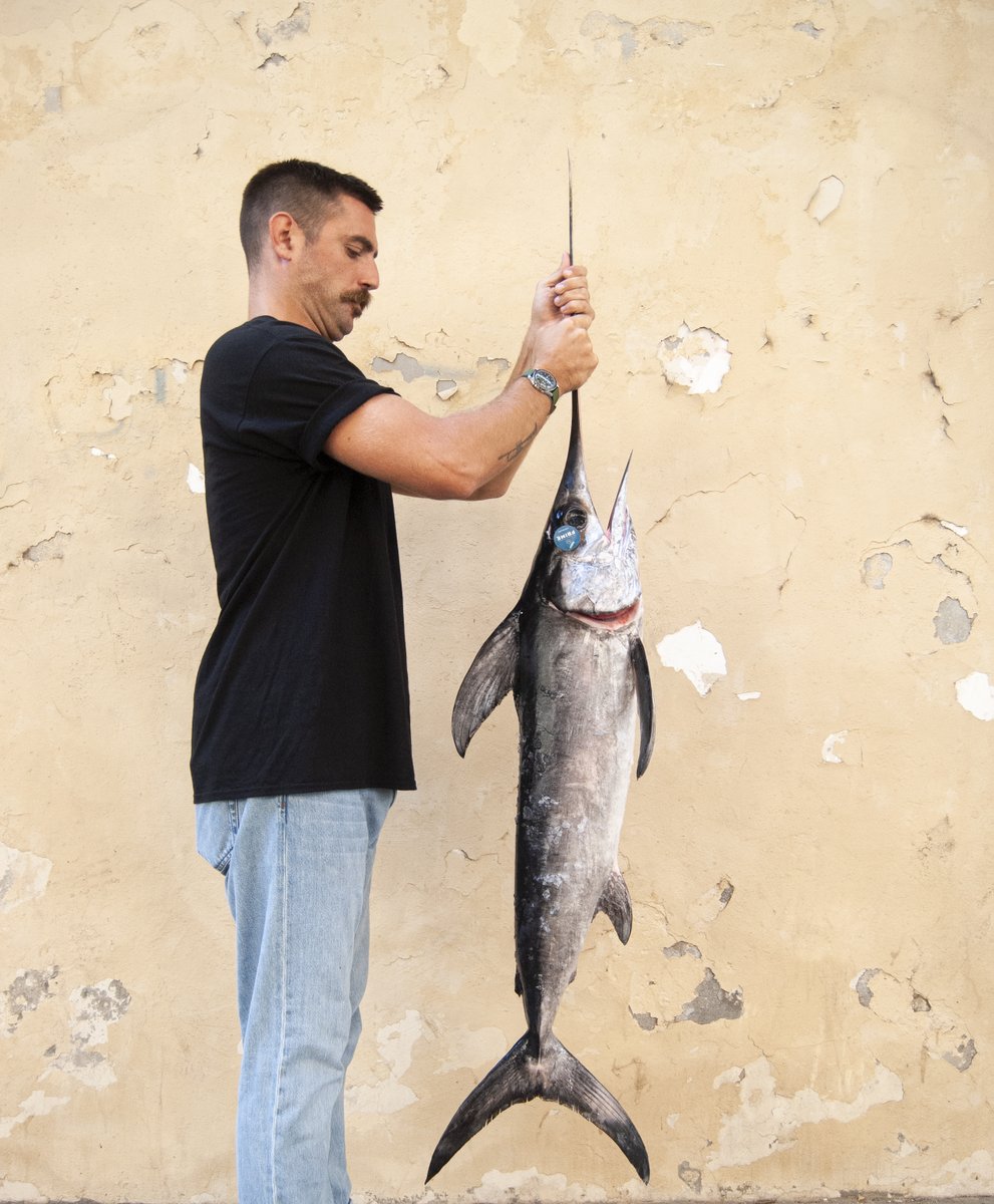 xemeibcn's tweet photo. We have the swords!! Pippo is ready for the weekend, so do we!!!!! 
Best espadas in town only in Xemeiiiii!!!!

⚔️⚔️⚔️⚔️⚔️⚔️

#swords #swordfish #pezespada #frime #barcelona #xemei #poblesec #lapesca #fish #fratellicolombo #colombo #fxc https://t.co/JbsDcLJItG