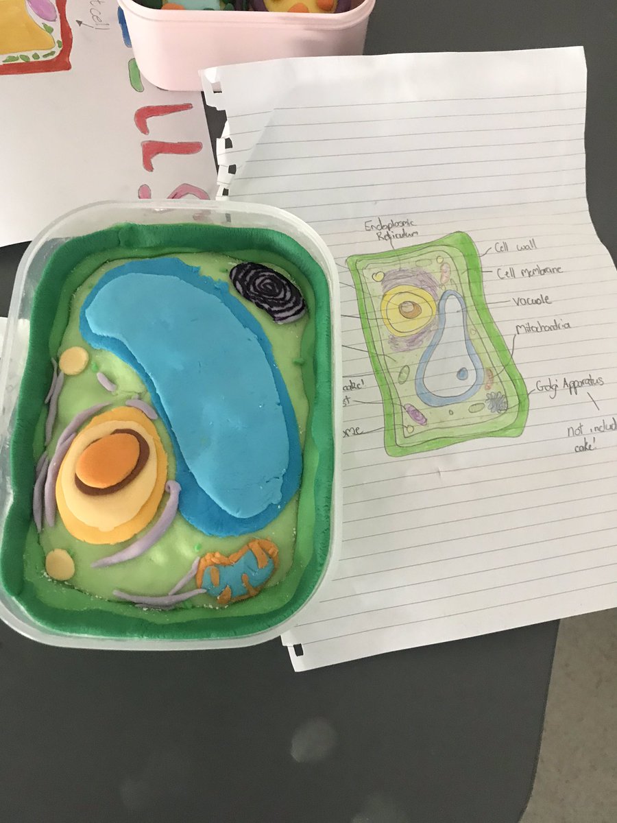 MissHancock91's tweet photo. First homework in for 8N recap of cells from year 7! Creative and independent task to show off their skills! 💪🏻 Da iawn! More to come Wednesday! @NHSScience2 @NewportH #independentlearning #creativethinkers #science https://t.co/zICvlCIx2R