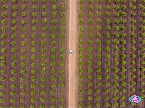 svq_fly's tweet photo. @andrea_drea05 Os invito a pasar por mi nueva cuenta donde estoy subiendo fotografías y videos realizados con mi Dron !! 

Os dejo mi Insta también https://t.co/7HdI4cueW1

Me ayudais mucho con unos likes y follow!! 

Espero que os guste 😊🙏🏾💚 https://t.co/qKo3YXmyvw