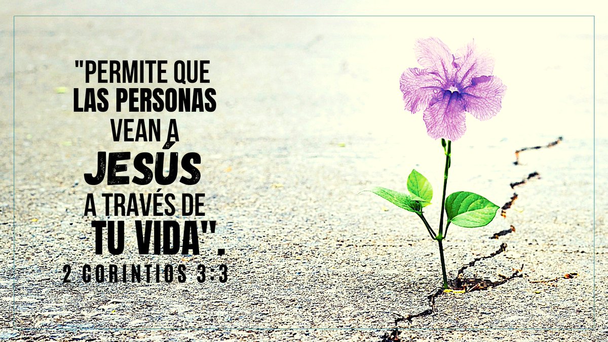 Pr_Hendrick_R_O's tweet photo. Inicia tu día meditando el la Palabra de Dios #rpsp #2corintios3 https://t.co/GY2MwxLbW0