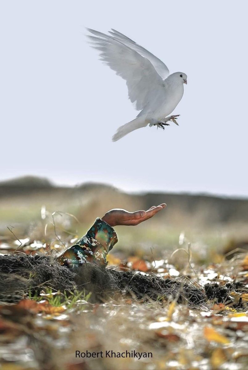 27.09.2020 #Azerbaijan unleashed aggression agnst #Artsakh launching #44daywar. United &amp; resolute we will overcome challenges &amp; move twd prosperity for the sake of our victims &amp; eternal glorification of our fallen brothers. We bow before memory of our heroes. #Armenia #Artsakh