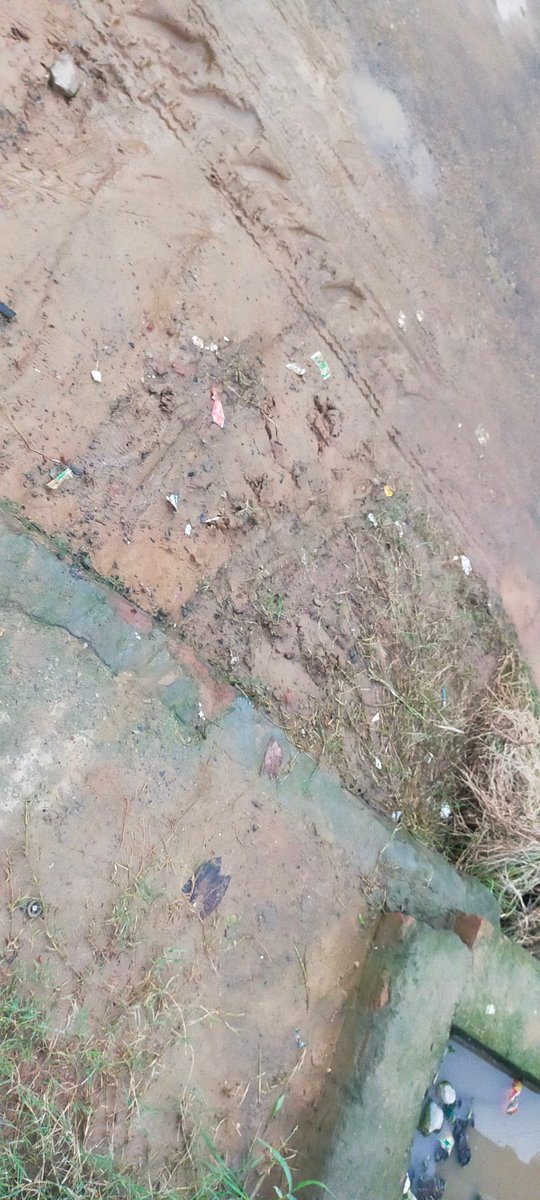 MasSaifer's tweet photo. ग्राम टपराना, त० ऊन, शामली में बुद्धपुरा-टपराना मार्ग पर बने हुए निकासी के नाले में रुका हुआ है गंदा पानी, पानी की सप्लाई न होने के कारण गंदगी व मच्छरों से गंभीर बीमारियां होने का खतरा, प्रधान की उदासीनता दे रही है गंभीर बीमारियों को न्योता,   @dm_shamli plz समस्या का समाधान कराए https://t.co/6P1fG5Ueaj