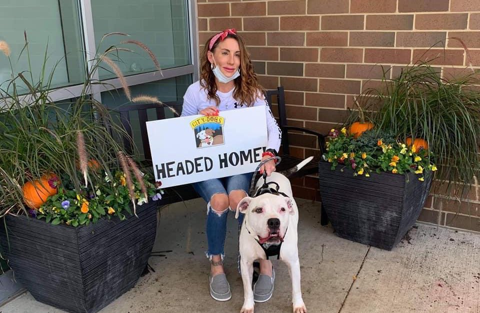 CityDogsCLE's tweet image. ADOPTION PUPDATE! Congratulations to Pongo, Effie, Porsche, Wellington, Edison, Sassy, Rex, Lolo, Libby, Prince and Bozo for finding their homes this week! Thanks so much for adopting a #CITYDOG!🐶