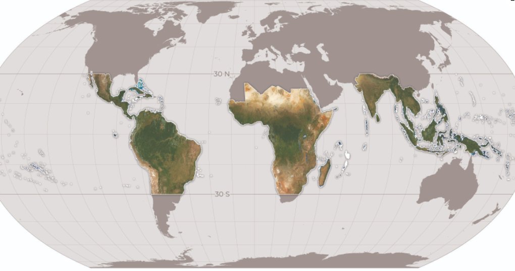 geoinformers's tweet photo. NICFAI's high-resolution satellite imagery (Planet) available for analysis in GEE
#GoogleEarthEngine #GEE #Forest #remotesensing 
Please visit to learn more:
https://t.co/CFA1oNxXs3 https://t.co/gz2hB3b9f5