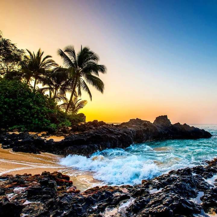 KyawSwa74964488's tweet photo. #ColorsofHawaii! πβοΈπ΄βοΈ
#NaturePhotography
#naturelovers #nature https://t.co/O5JEflIvtb