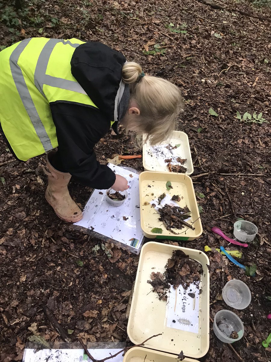 SPFJuniorSchool's tweet photo. 2A are enjoying pond dipping and mini beast hunting at Wandlebury Country Park as part of their ‘Nature &amp; Nurture’ theme! @SPFSchools #NatureDetectives #Outdoorlearning #CambridgePastPresentandFuture https://t.co/KZfaSsnJ35