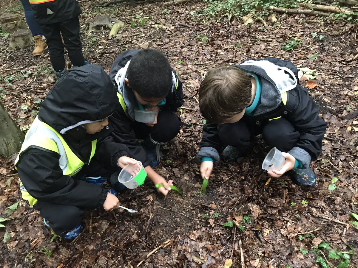 SPFJuniorSchool's tweet photo. 2A are enjoying pond dipping and mini beast hunting at Wandlebury Country Park as part of their ‘Nature &amp; Nurture’ theme! @SPFSchools #NatureDetectives #Outdoorlearning #CambridgePastPresentandFuture https://t.co/KZfaSsnJ35