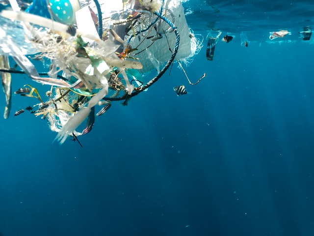kelpindustries's tweet photo. Recycling is not a complete solution to the plastic pollution crisis. But without new thinking, there could be more plastic than fish in the oceans by 2050.  Read more --> https://t.co/LJcSYkiMSE https://t.co/bEjFaP8Vqr
